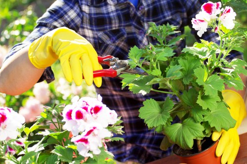 Garden maintenance in Dalston with tidy planting and lawn care