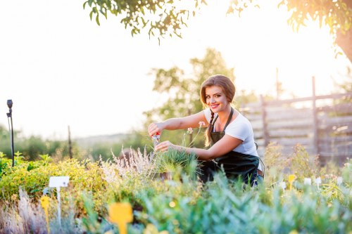 Dalston gardeners improving a small East London garden
