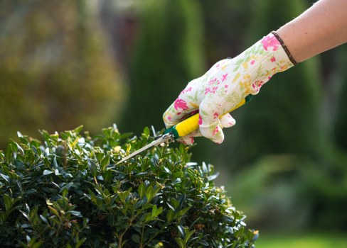 Illustration representing inclusive access for Gardeners Dalston