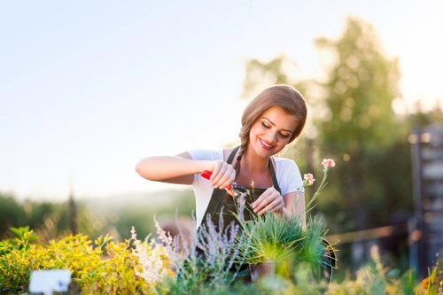 Freshly cut lawn in a Dalston garden