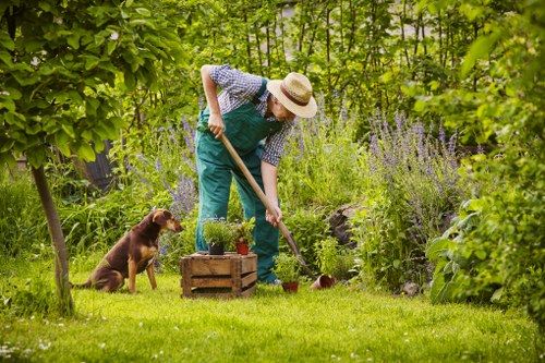 Professional grass cutting in a Dalston outdoor space