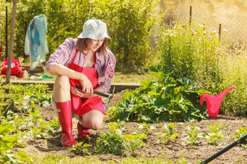 Healthy green lawn care in Dalston garden