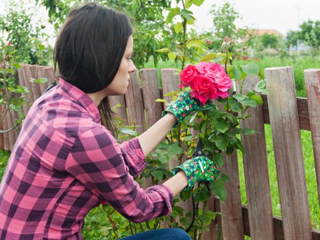 Garden maintenance in Dalston with structured borders and greenery