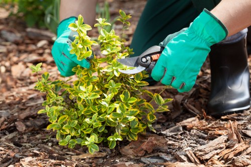 Waste disposal and regulatory compliance for gardeners