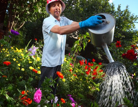 Dalston garden care team creating a balanced and welcoming garden