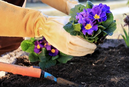 Responsible recycling and reuse in a Dalston garden project