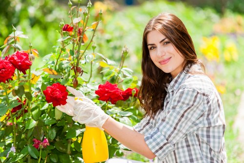 Spring garden maintenance in Dalston with pruning and lawn care