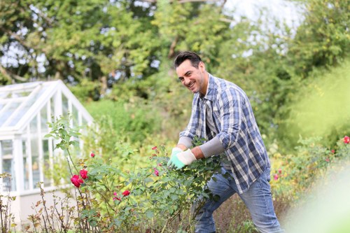 Seasonal garden maintenance in Dalston for healthy outdoor spaces