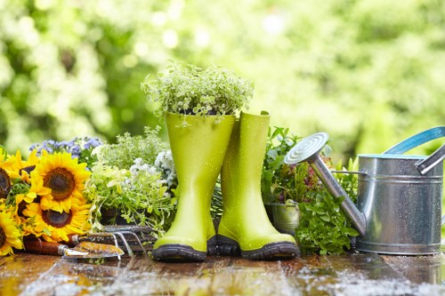 Moss and dirt removal during patio cleaning in Dalston