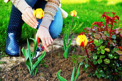 Eco-friendly garden clearance and green waste collection in Dalston