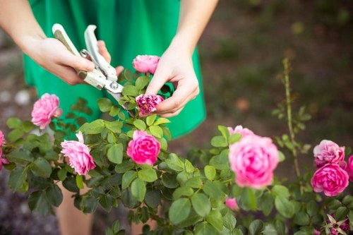Example garden clearance and maintenance jobs for Dalston properties