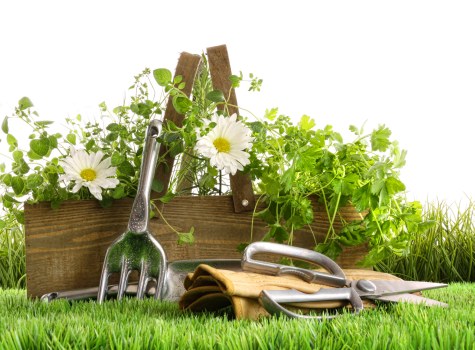 Load-based and cubic-yard rates for gardening jobs in Dalston