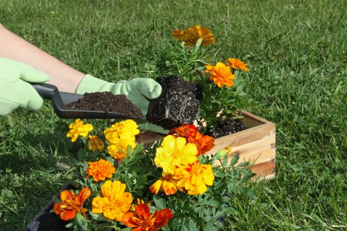 Professional response to a garden service issue