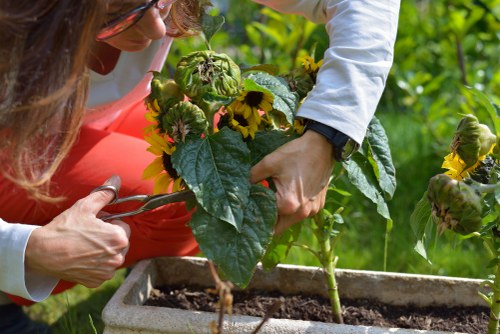 Trusted secure checkout for Dalston gardening services