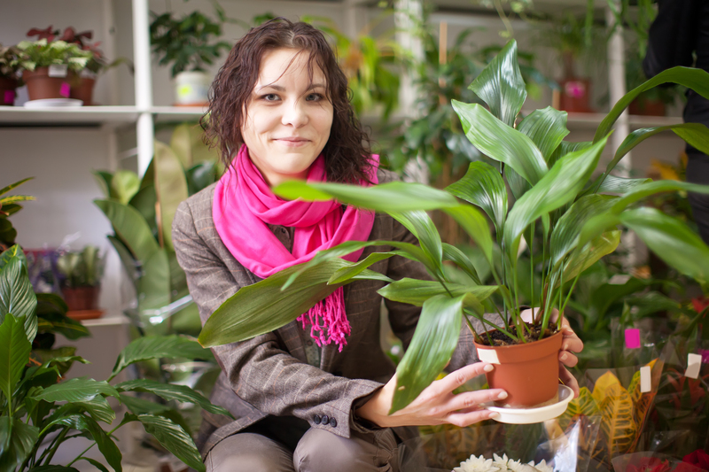 garden design garden care