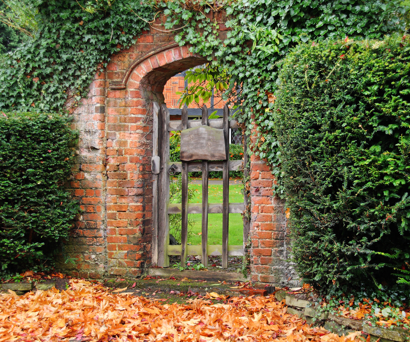 garden design garden care